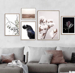 Love your space Black Cockatoo photographic Print |The Home Maven