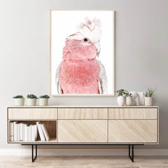 Love your space Iggy Pink Galah photographic print | Various sizes | The Home Maven