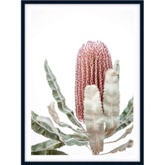 Love your space | Photographic Print Banksia III |The Home Maven