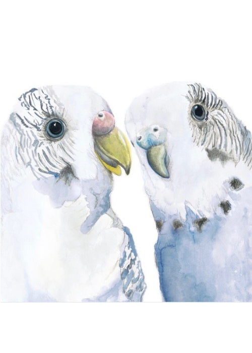 Winter Avenue press Blue Budgies Bird Print - Wall Art |The Home Maven