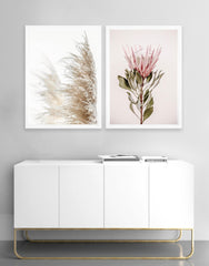 Pampas grass photographic print | Various sizes | The Home Maven