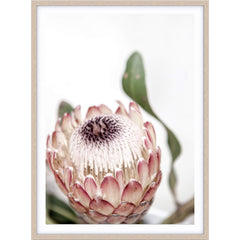 Love your space Protea II photographic print | Various sizes | The Home Maven 