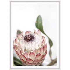 Love your space Protea II photographic print | Various sizes | The Home Maven 
