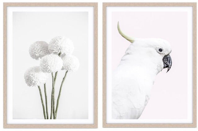 Love your space |White chrysanthemums photographic print |Various sizes | The Home Maven
