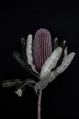 Love your space Dark Banksia I -photographic Print - $35 - $119 | The Home Maven 