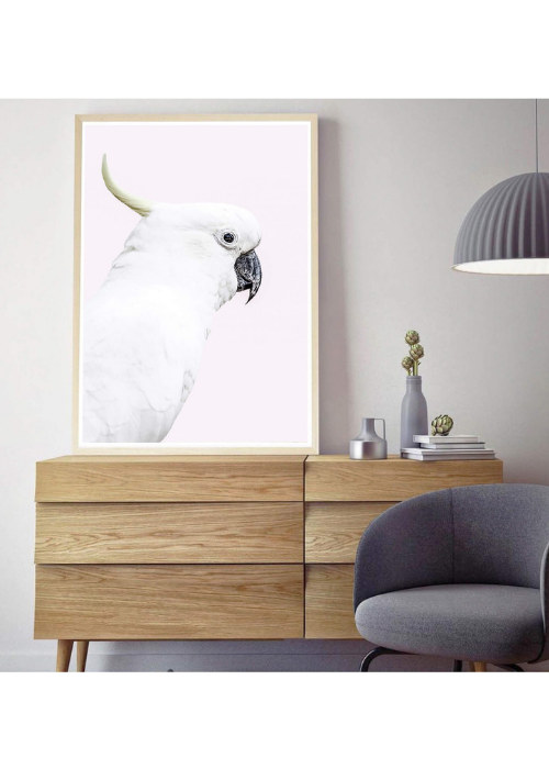 White cockatoo photographic print |Various sizes | The Home Maven